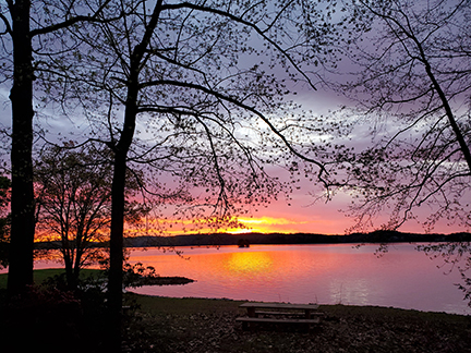 Luxury Homes on Lake Keowee